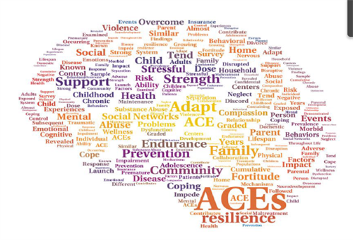 What is ACES?